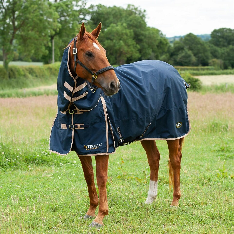 image 1 of Gallop Equestrian Trojan 100 Combo Turnout Red | Size: 7ft 0
Colour: Navy/Red