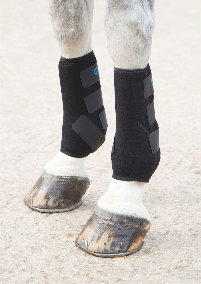 image 1 of Shires Breathable Sports Boots | Black | Size: Cob
Colour: Black