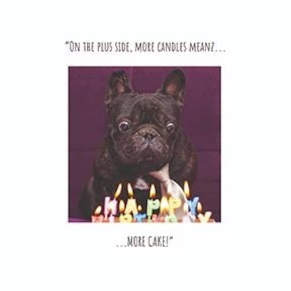 Click, Like & Share Birthday Card for Her, "On The Plus Side, More Candles Meanz More Cake!" Female Birthday Card, Funny Birthday Card for her