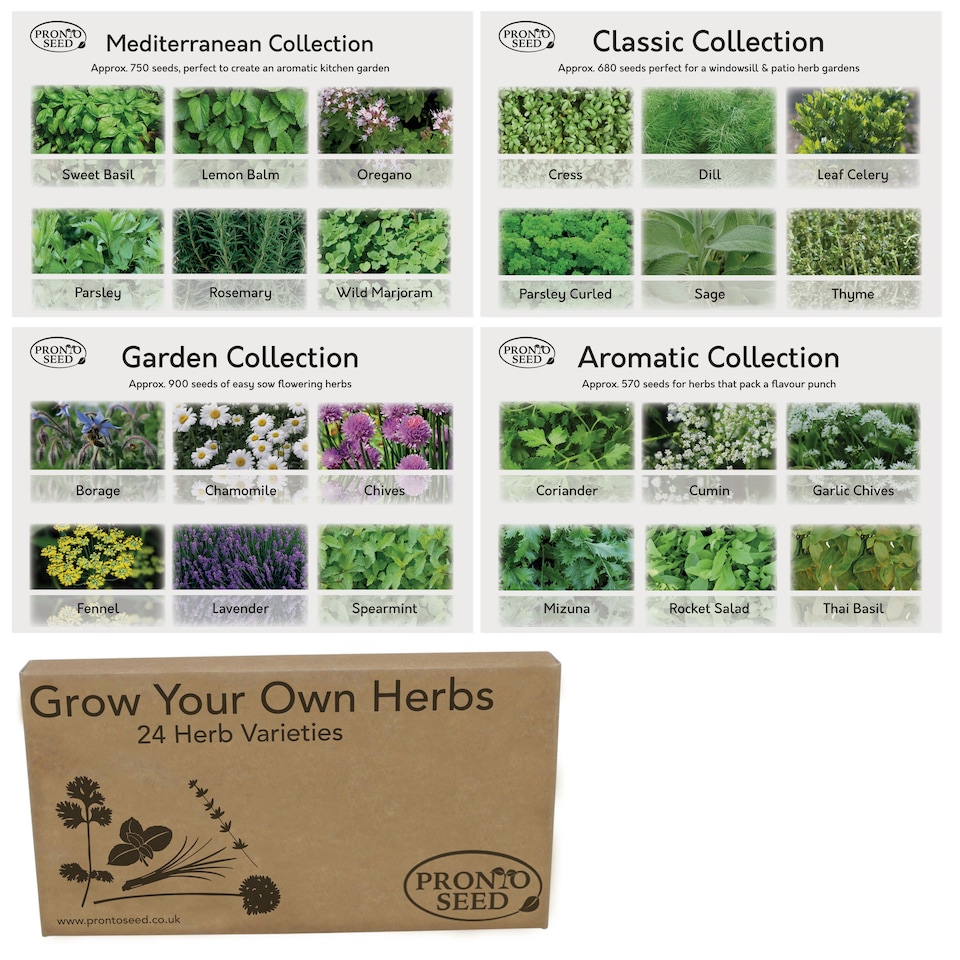image 1 of Pronto Seed Herb Seeds Bumper Pack – 24 Culinary Herb Varieties, Over 2,600 Seeds for Kitchen & Garden Growing