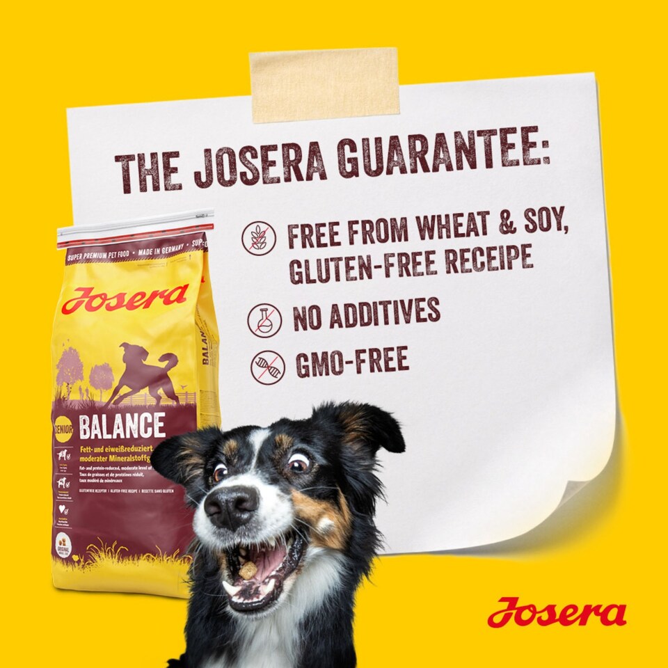 image 1 of Josera Senior Balance complete dry dog food | For older or less active dogs | Lower protein | Reduced fat | Gluten-free | Cardiac & Joint support | 2x12.5kg pack