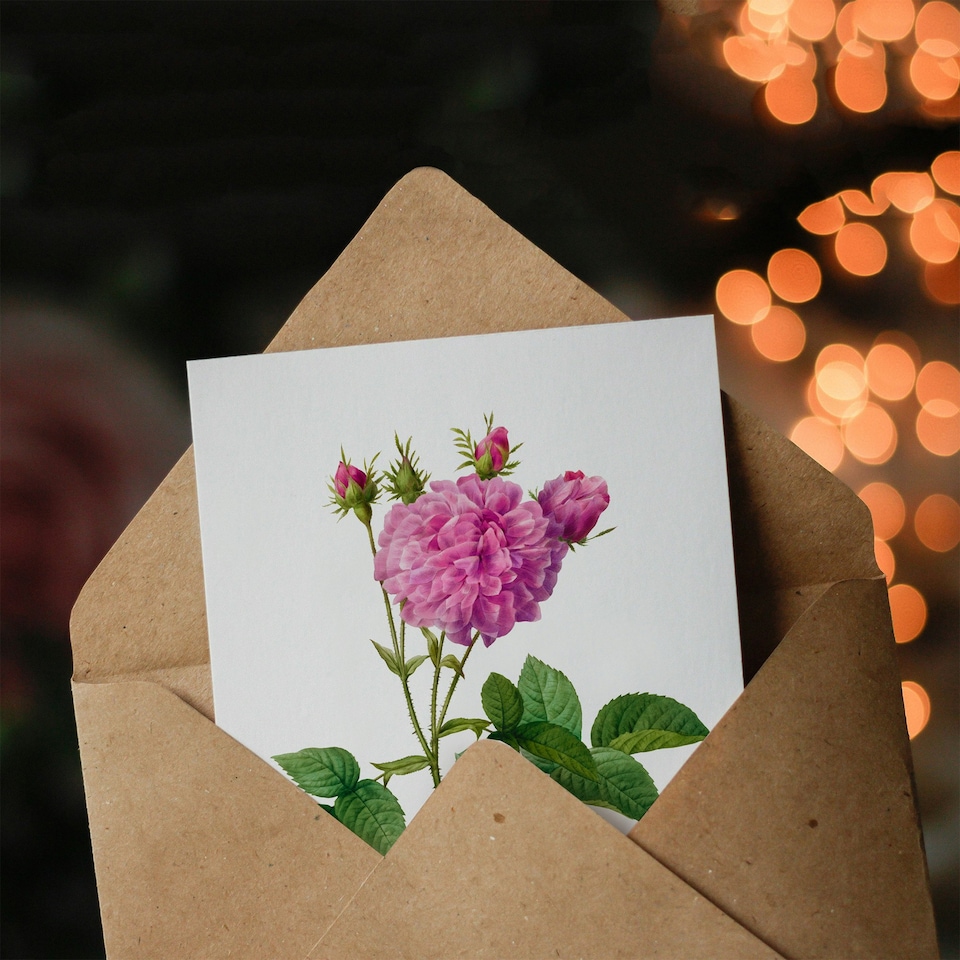 image 1 of Pierre-Joseph Redouté Art Card Agatha Rose Vintage Floral