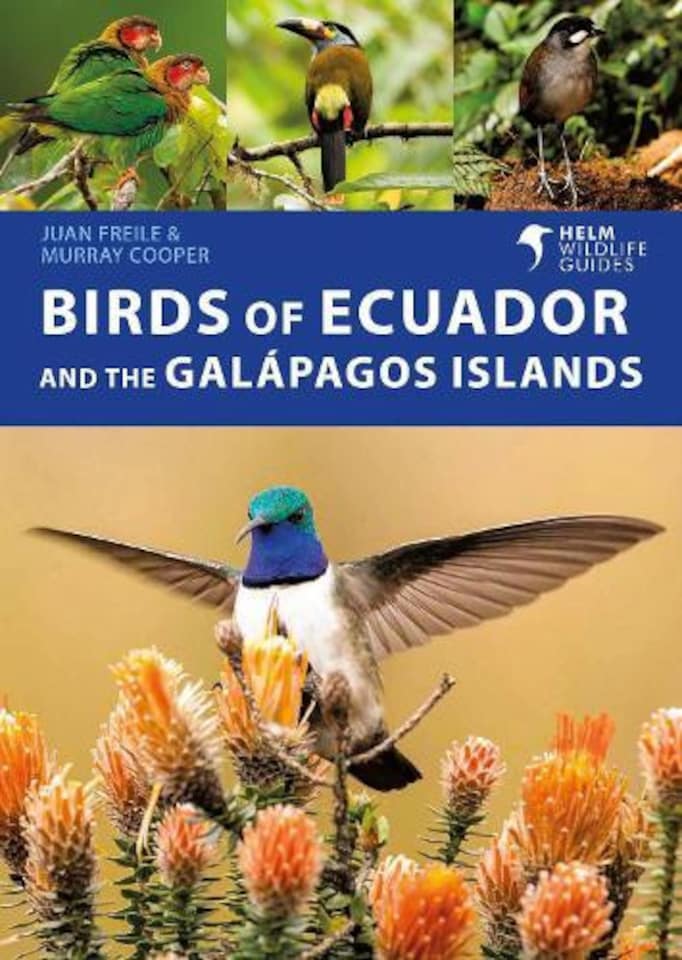 Birds of Ecuador and the Galapagos Islands Paperback Book