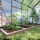 image 9 of Outsunny 6x8ft Walk-In Polycarbonate Greenhouse Plant Grow Galvanized Aluminium