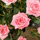 image 6 of Outsunny Set of 2 90cm Artificial Rose Tree, Fake Decorative Plant, Pink