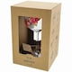 image 3 of Ginology Red Poinsettia Copa Large Gin Glass
