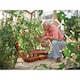 image 2 of Hozelock 2810 Growbag Waterer - Multi Colour - One Size | Multi