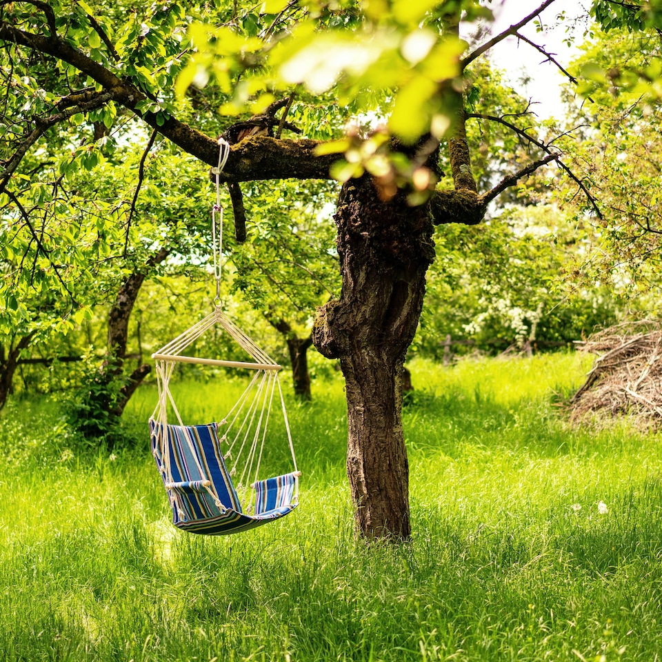 image 1 of Palau Ocean Hanging Chair | Blue | Ocean