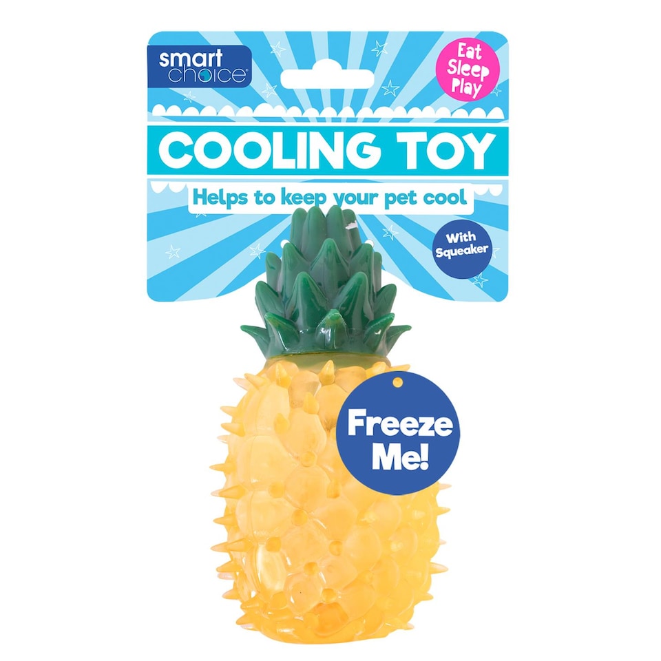 image 1 of Pineapple Summer Cooling Pet Toy - Dog Puppy Teething Chew Outdoor Play Freezable Durable Rubber  Hydrating Teether Frozen