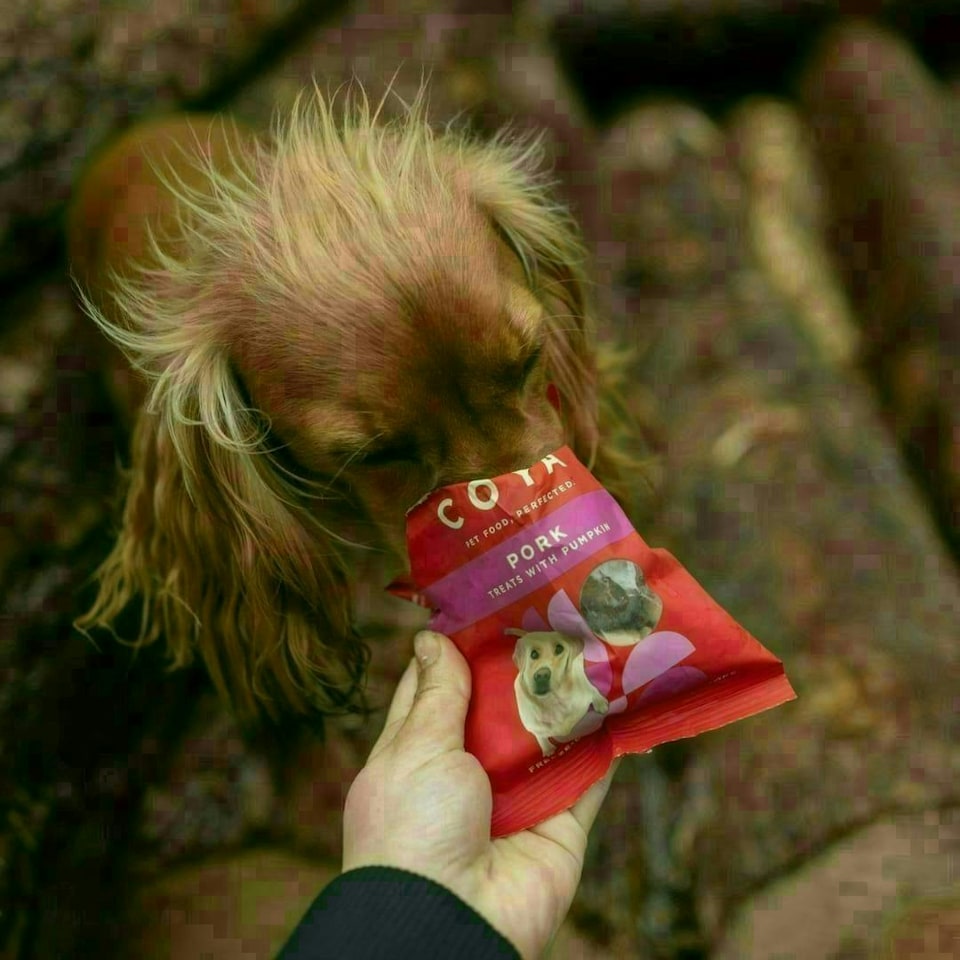 image 1 of COYA Adult - 6x40g - Dog Treats - Pork