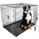 image 1 of DogCrates+ 42-Inch XL Dog Crate with Dual Doors, Removable Metal Tray & Foldable Frame – Black Black | XL
