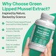image 2 of Green Lipped Mussel Extract 1500mg - 240 Capsules
