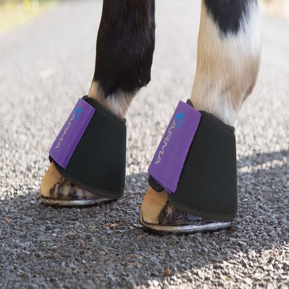 image 1 of Shires Arma Neoprene Over Reach Boots Green | Pony