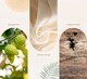 image 3 of Fragrance Reed Diffuser - Pure Tranquility - 70ml