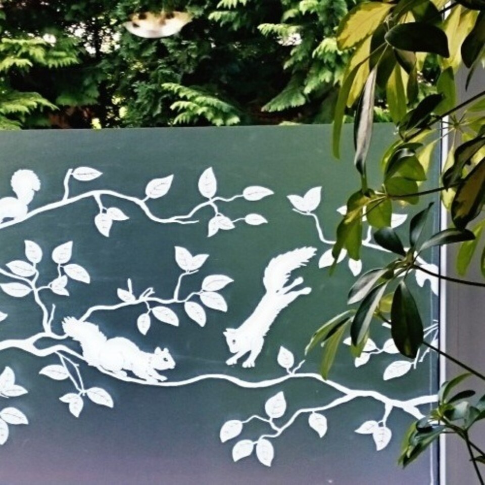 image 1 of d-c-fix Pineview 45cm x 1.5m Premium Static Cling Vinyl Window Film for Privacy and Decor