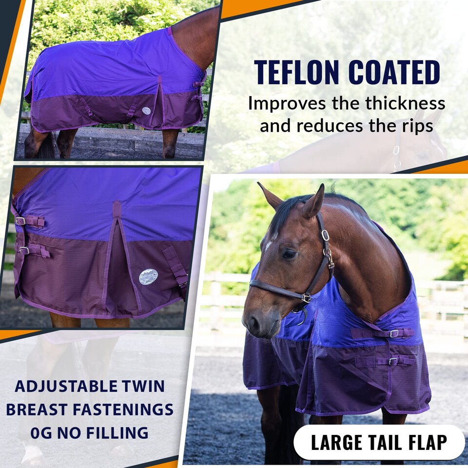 image 1 of eQuitack 600D Waterproof Horse Turnout Rug 0g No Fill Regular Neck Purple/Plum 5'9''