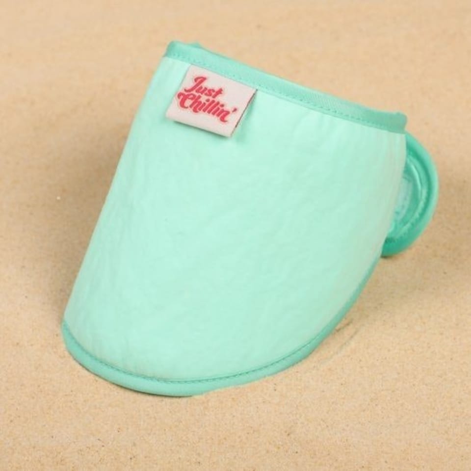 Pet Brands Just Chillin' Cooling Bandana Small / Medium
