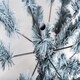 image 7 of 6ft Imperial Pine Frosty Green Christmas Tree Green | 6ft