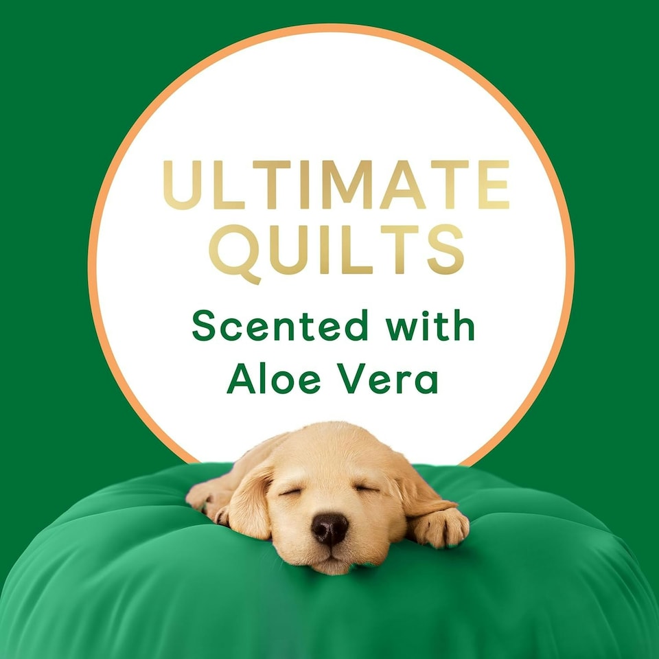 image 1 of Andrex Ultimate Quilts Toilet Tissue 36 Rolls with Aloe Vera Fragrance, Air Pocket Technology for Soft, Thick Sheets - Bulk Pack of 36 Quilted Toilet Rolls