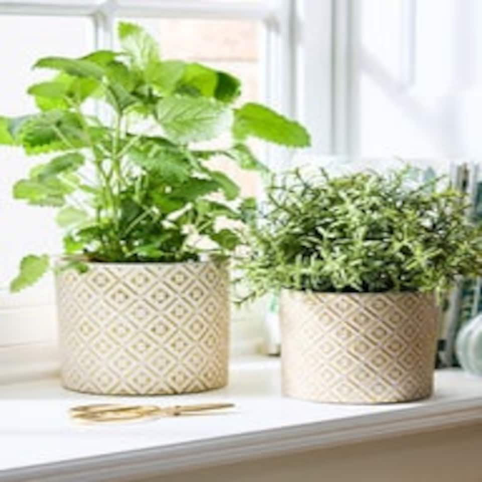 image 1 of Corona Diamond Patterned Planters White