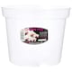 image 7 of Clear Orchid Pot, 21cm - Clear Plant Pots for Orchids N/A