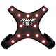 image 1 of AWE 12 x Super Red LED's High Visibility Medium Cycling/Running/Walking Vest