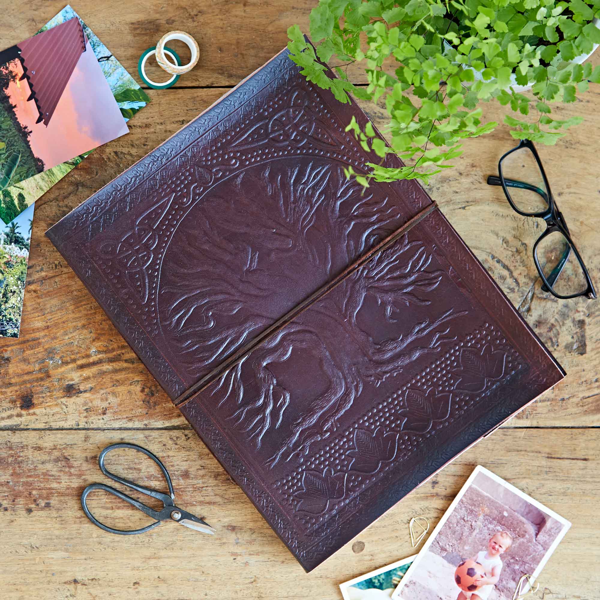 Paper High Leather Tree of Life Embossed Photo Album in Brown | Size: XL