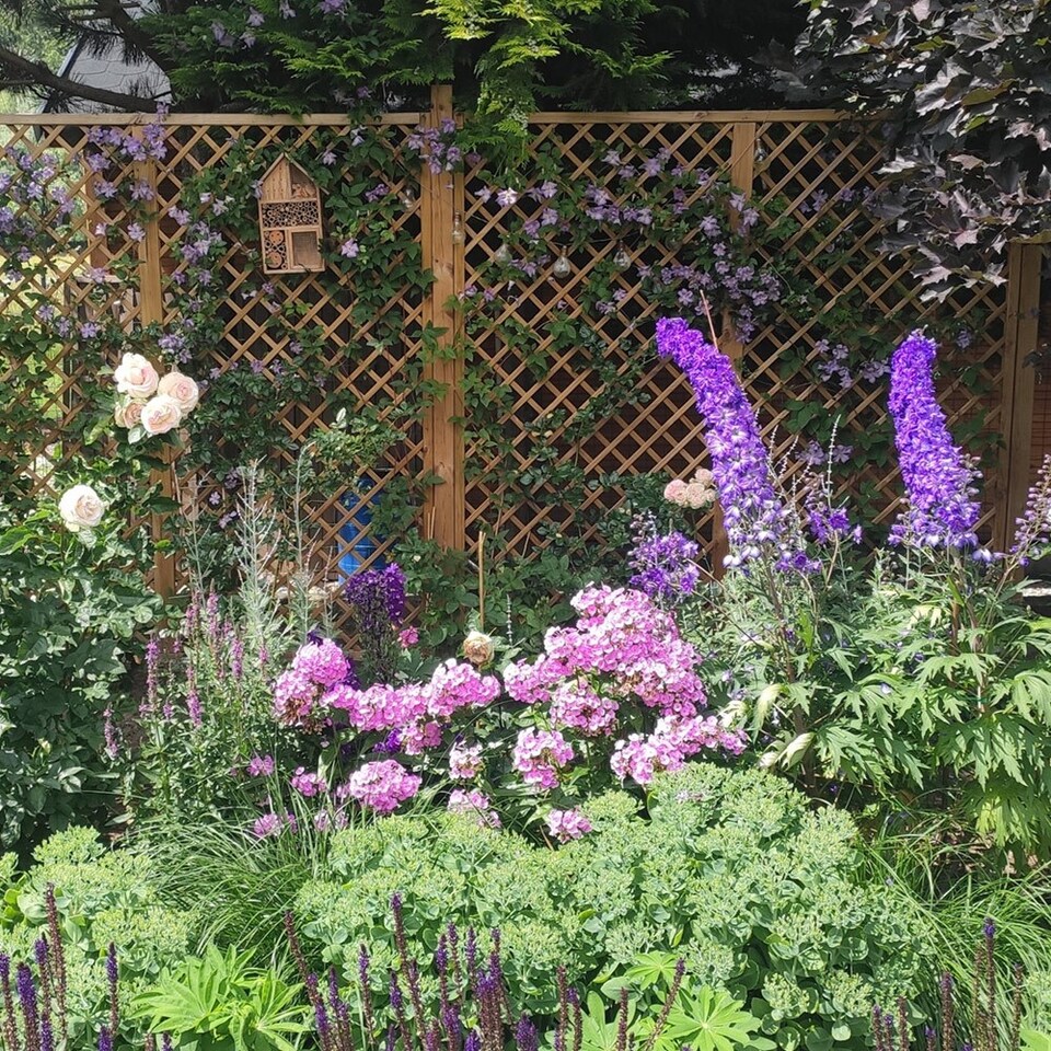 image 1 of English Fan Outdoor Garden Privacy Screening Wall Trellis 1.83m x 1.8m