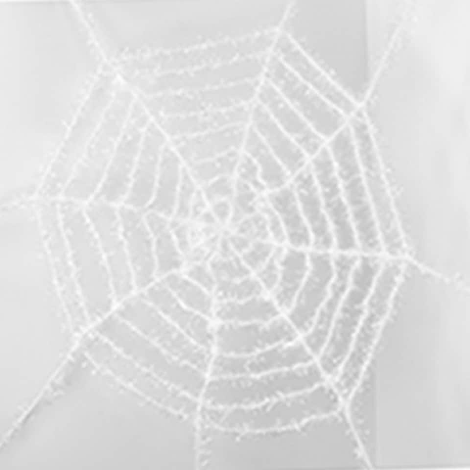 Holographic White Shimmering Cobweb Halloween Decoration 5ft
