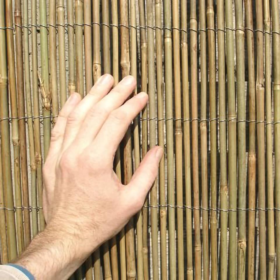 image 1 of Primrose Bamboo Cane Natural Garden Screening Roll Privacy Fencing Screen W4m x H2m | Brown | Brown