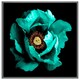 image 4 of Cyan peony flower (Picutre Frame) White | XS