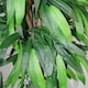 image 2 of Artificial Mango Plant Tree 120cm Tall Green Wood | Green | 4ft