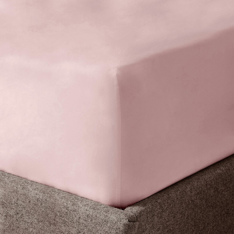 image 1 of Velosso Microfibre Easy Care Fitted Sheet Pink | Blush Pink | Single