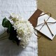 image 1 of Artificial Hydrangea Bunch - Plastic - L23 x W23 x H47 cm - White