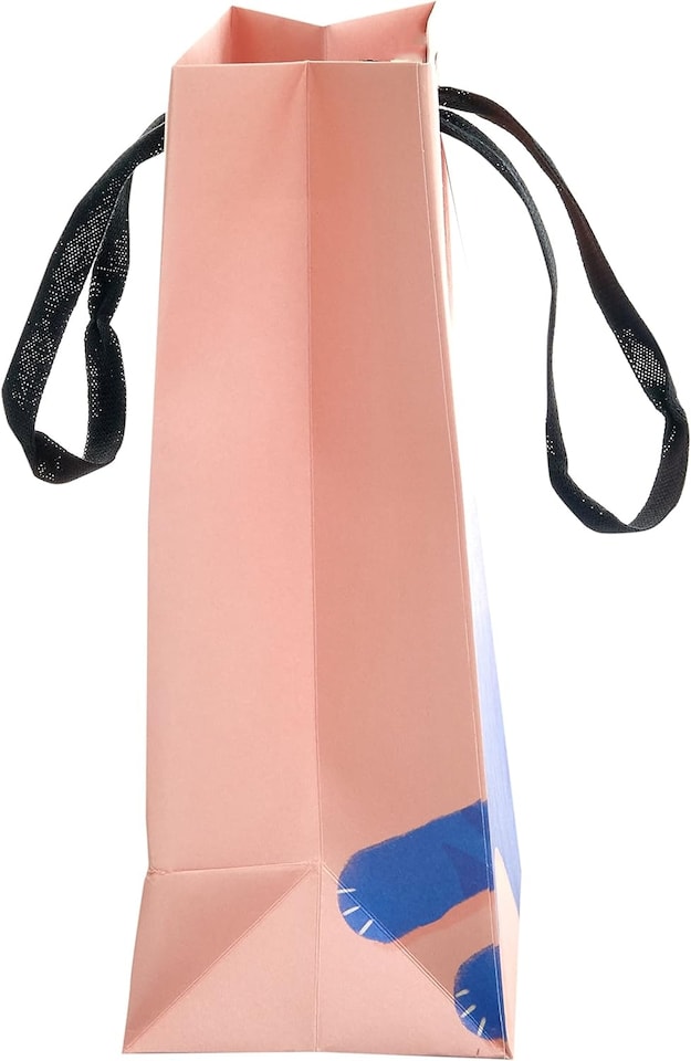 image 1 of Cat Design Medium Gift Bag
