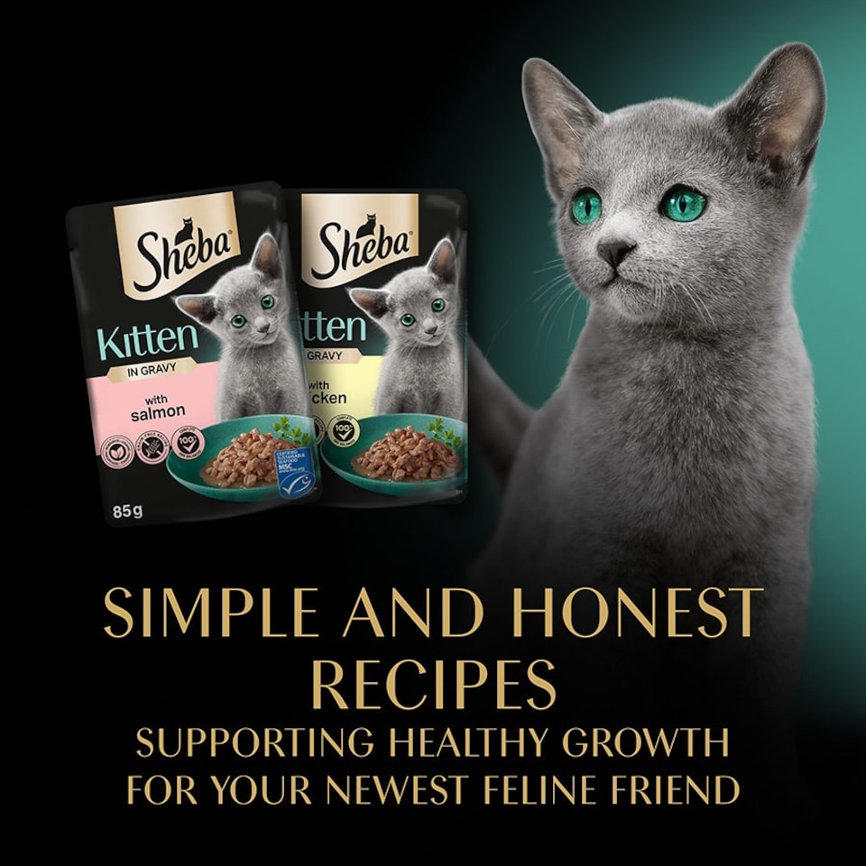 image 1 of Sheba Mixed Selection Kitten Wet Cat Food in Gravy 12 x 85g Pouch (Pack of 4)