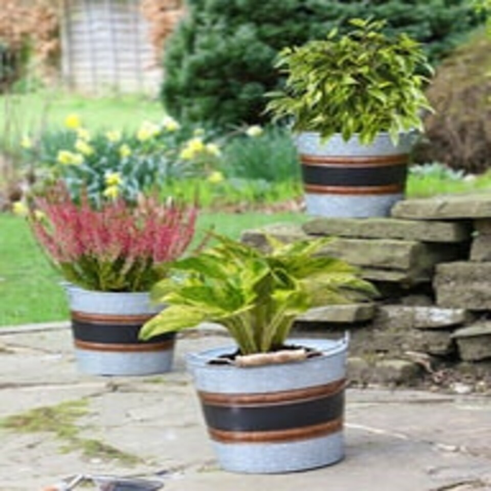 image 1 of Set of 3 Black Band Bucket Planters Silver