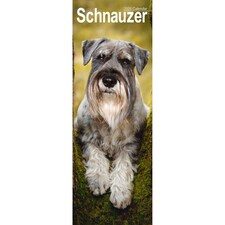 Schnauzer Slim 2026 Calendar | Slimline Wall Calendar | Dog Breed Gift | Plastic Free Packaging | by Avonside Publishing [Calendar] Avonside Publishing Ltd