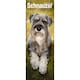 image 1 of Schnauzer Slim 2026 Calendar | Slimline Wall Calendar | Dog Breed Gift | Plastic Free Packaging | by Avonside Publishing [Calendar] Avonside Publishing Ltd