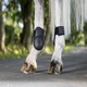 image 10 of LeMieux Capella Fetlock Boots Black | Size 3