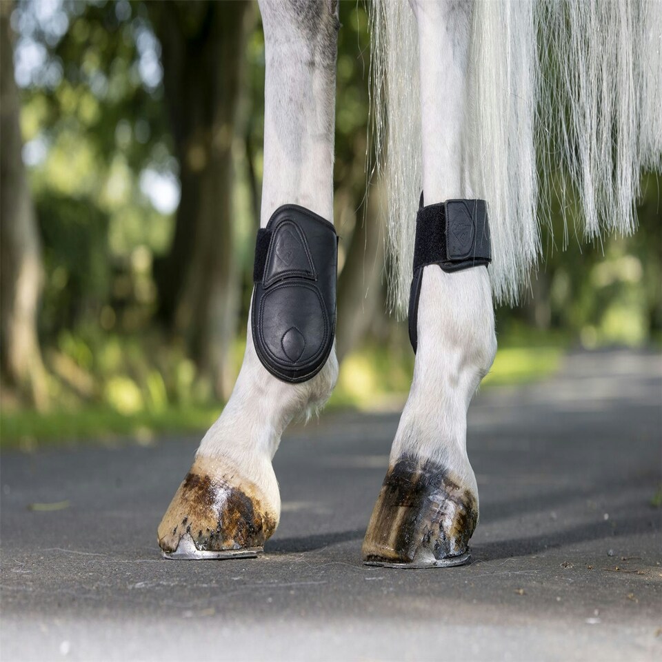 image 1 of LeMieux Capella Fetlock Boots Black | Size 3
