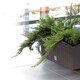 image 2 of 60 cm Rato Case Rattan Flower Planter | Brown | 1