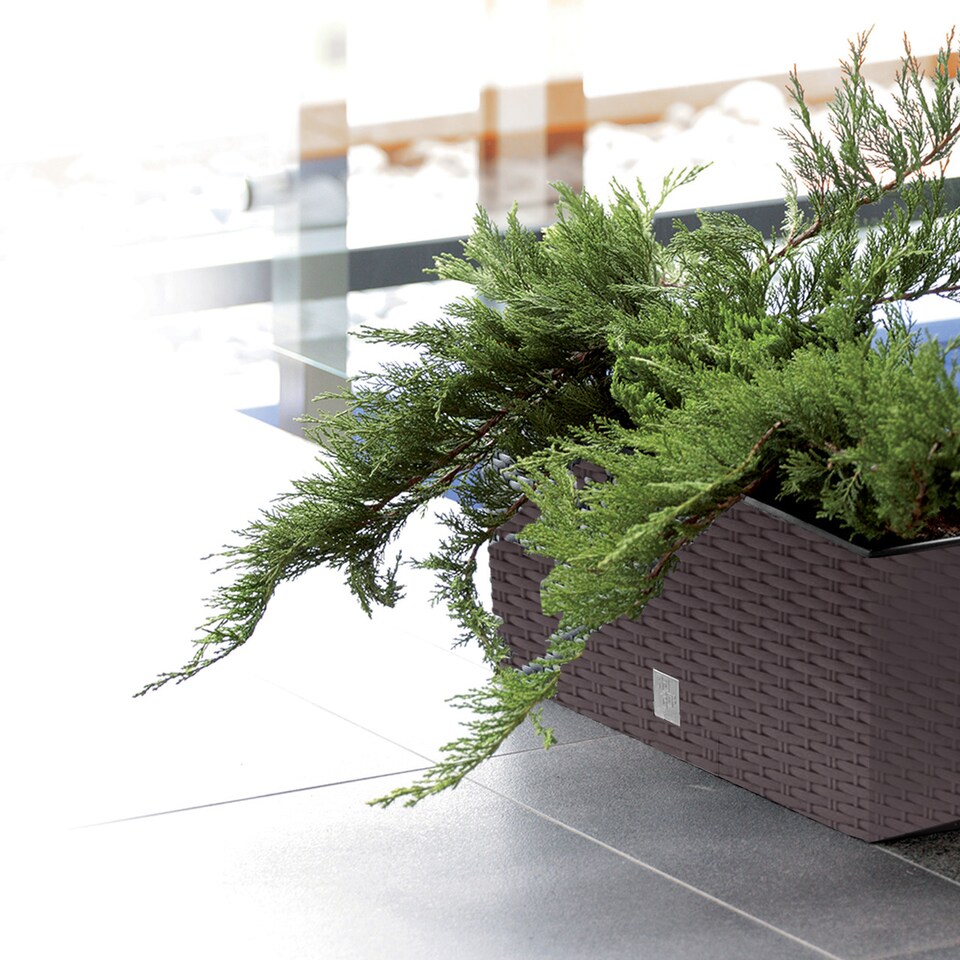 image 1 of 60 cm Rato Case Rattan Flower Planter | Brown | 1