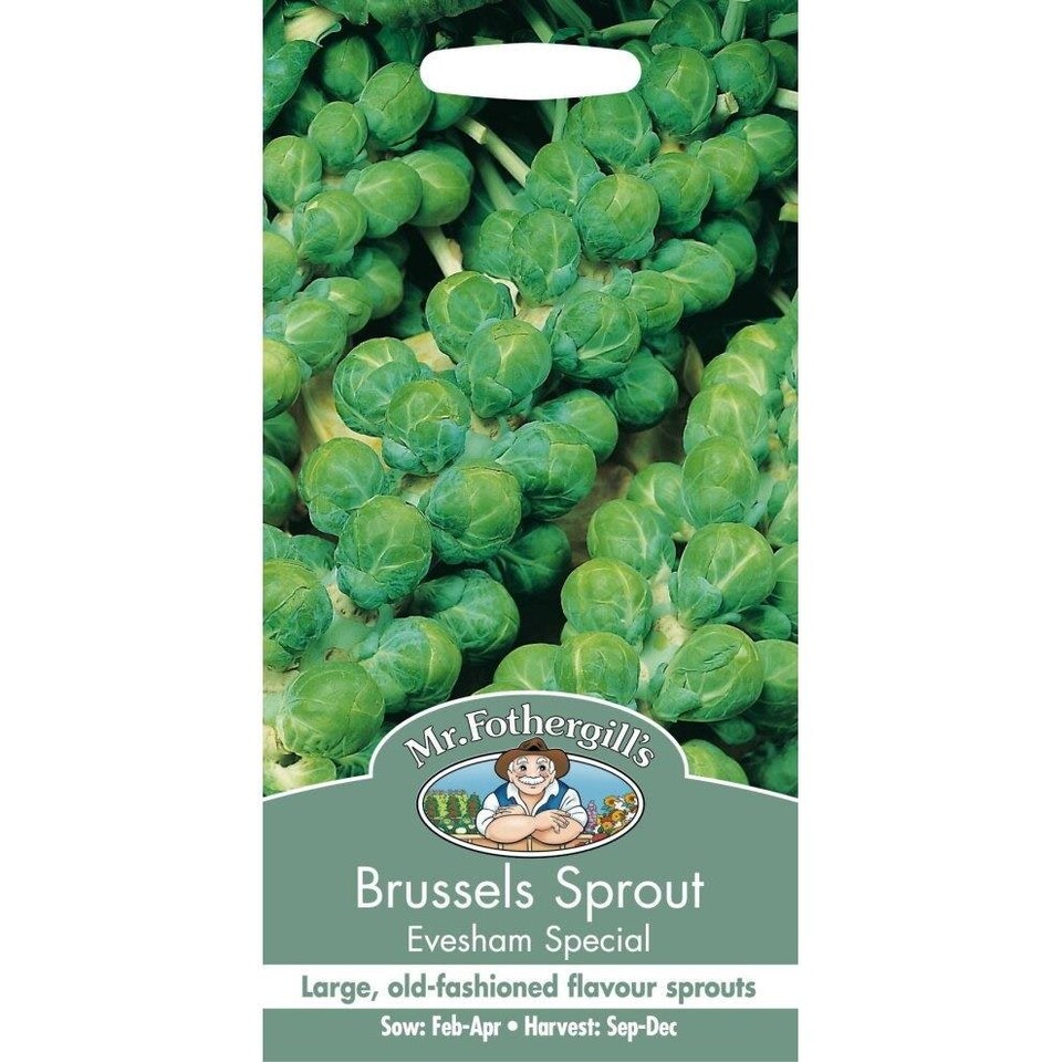 Mr. Fothergills  Brussels Sprout Evesham Special Seeds