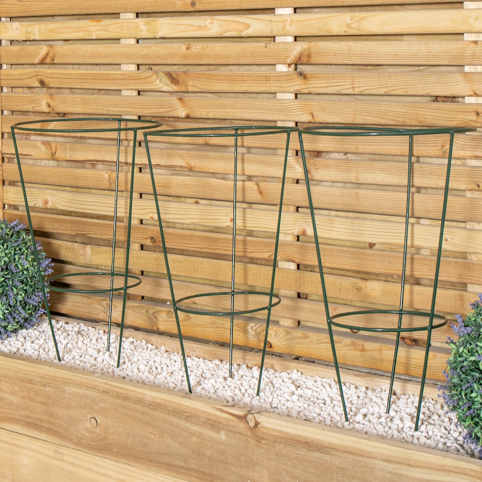 image 1 of Pack of 3 Tom Chambers Urban Green Conical Garden Plant Support Ring 30cm -  Medium