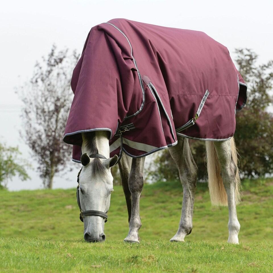 image 1 of Weatherbeeta Comfitec Plus Dynamic II Detachable Neck Lightweight Horse Turnout Rug - Maroon/Grey/White - 6´ 5"