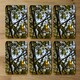 image 2 of Tree leaves in the sunshine nature photography, leaves and branches (Coaster)
