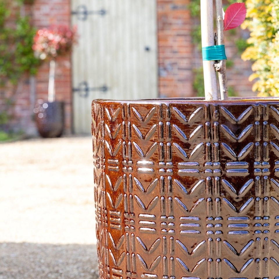 image 1 of Primrose Textured Glazed Terracotta Planter In Glossy Coffee Brown 50cm