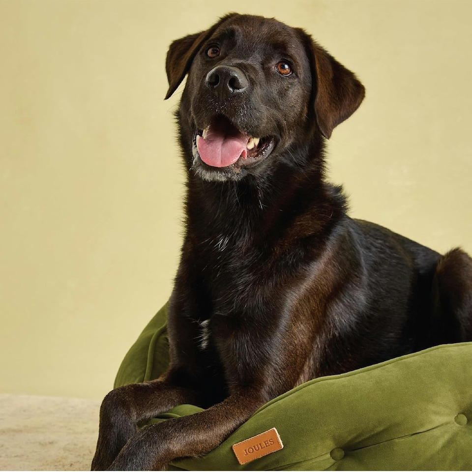 image 1 of Joules Khaki Chesterfield Luxury Dog Bed - Large Green | One Size