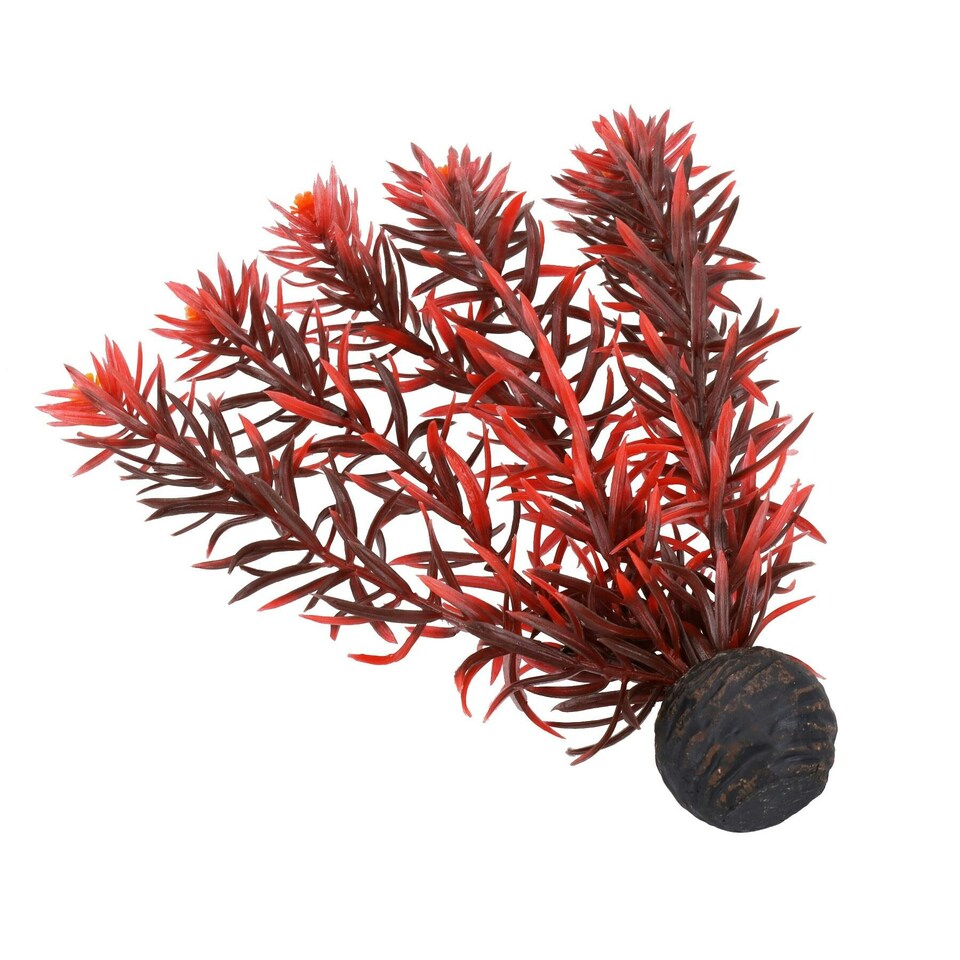 image 1 of Aquatic Aquarium Fish Tank Self Sinking Middle Silk Artificial Plant H-20cm- (No7)